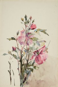 Rosa Blumenstiele von Barbara Leigh Smith Bodichon