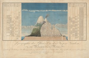 Ideen zu einer Geographie der Pflanzen nebst einem Naturgemälde der Tropenländer von Baron Friedrich Alexander von Humboldt