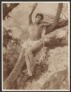 Jugend im Baum mit erhobenem Arm