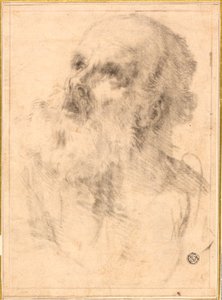 Kopf eines alten Mannes von Bartolomé Esteban Murillo