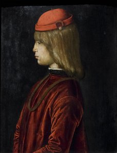Porträt von Guidubaldo da Montefeltro, c.1480-81