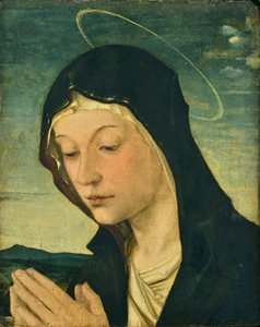 Kopf und Hände einer anbetenden Madonna (Fragment), ca. 1477-78 von Bartolomeo Montagna