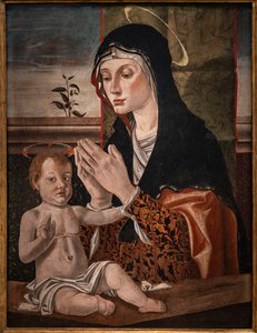 Madonna mit dem Jesuskind von Bartolomeo Montagna