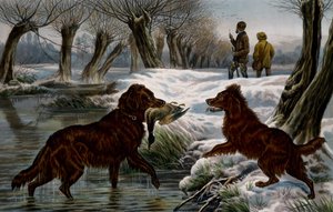 Wildentenjagd von Basil Bradley