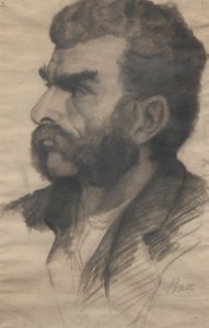 Bauer