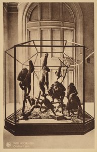 Gorillasaal