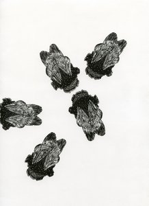 Treffen der Hummeln, 2013 von Bella Larsson