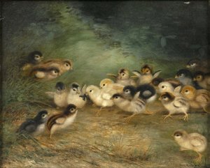 Einundzwanzig Küken und ein Käfer von Ben Austrian