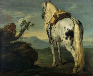 Ein Selle Français Pferd in einer Landschaft