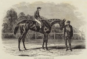 Nancy, Gewinnerin des Goodwood Cups, 1851