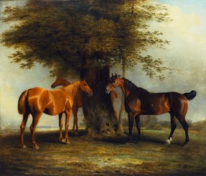 Jäger auf der Wiese, 1801