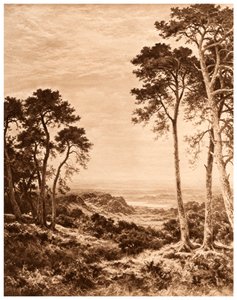 Sonnenuntergang nach Regen, 1903 von Benjamin Williams Leader