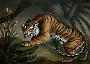 Tiger und Krokodil, ca. 1810
