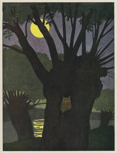 Eule in einem Baumloch in einer mondhellen Nacht