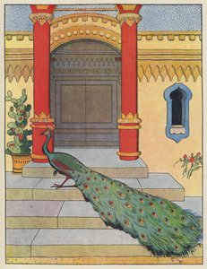 Pfau