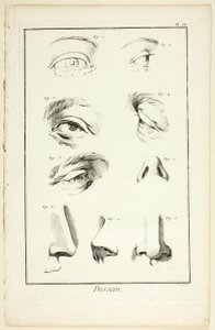 Entwurf: Gesichtsanatomie aus der Encyclopédie von Benoit Louis Prevost