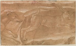 Ein Hund jagt einen Hasen