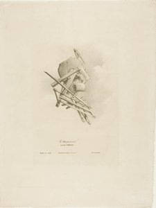 Der Zimmermann, aus Arts et Métiers