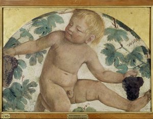 Erntende Putti - Putto unter einer Pergola, ca. 1514 (abgelöster Fresko auf Holz)