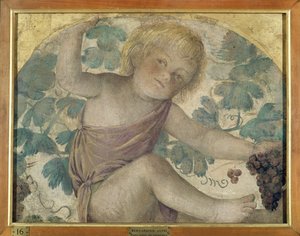 Erntende Putti - Putto unter einer Pergola