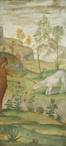 Prokris und das Einhorn von Bernardino Luini