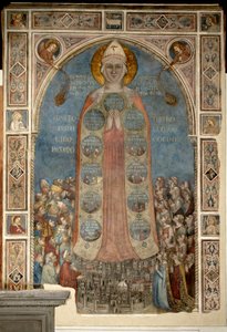 Madonna der Barmherzigkeit - Madonna della Misericordia von Bernardo Daddi (1290-1350) von Bernardo Daddi
