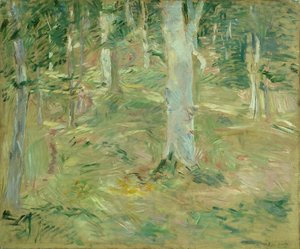 Wald von Compiègne