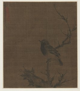 Schlafender Vogel auf einem Prunuszweig