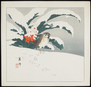 Vogel im Schnee, frühes 20. Jahrhundert