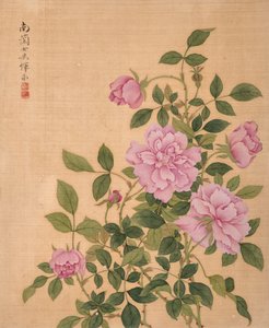 Rose aus dem Album der Blumen von Bing Yun