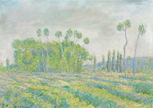 Giverny, Pappeln des Ajoux