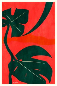 Monstera Dschungelblätter