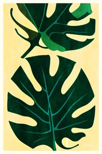 Tropische Monstera-Blätter