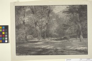 Sierra-Wälder