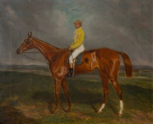 Kastanienbraunes Rennpferd mit Jockey, ca. 1860-90