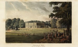 Herde von Hirschen vor Trentham Hall