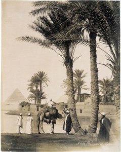 Palmenhain am Fuße der Pyramiden von Ägypten - Fotografie der Zangali-Brüder, Ende des 19. Jahrhunderts von Brothers Zangaki