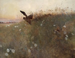 Fuchs und Waldschnepfe