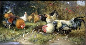 Geflügel in einer Landschaft