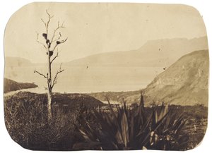 See und Mount Tarawera von Te Wairoa, 1860 von Bruno Hamel