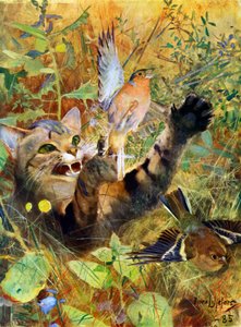 Eine Katze und ein Buchfink