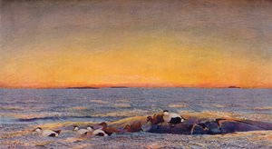 Sonnenaufgang, 1896 von Bruno Andreas Liljefors