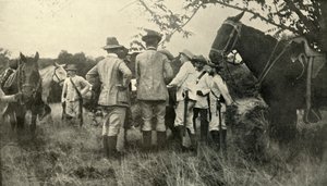 General Lawton lernt von kubanischen Offizieren...30. Juni, Spanisch-Amerikanischer Krieg, 1898, 1899
