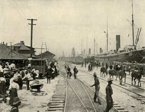 Freigelassene Gefangene, Spanisch-Amerikanischer Krieg, Juni 1898, 1899 von Burr McIntosh