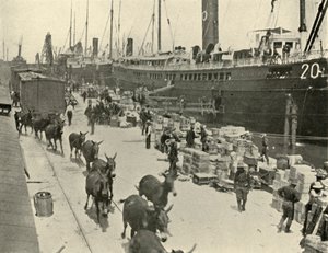 Truppentransportschiffe in Port Tampa, Florida, USA, Spanisch-Amerikanischer Krieg, 10. Juni 1898, 1899