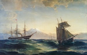 Schiffe vor der Küste Islands