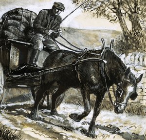 Pferde waren unterernährt und überarbeitet von C.L. Doughty