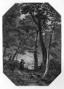Herman Boerhaave, niederländischer Botaniker, Humanist und Arzt des 17.-18. Jahrhunderts, um 1870 von Domenico del Barbiere