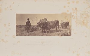 Rückkehr von der Arbeit, von R. Ansdell