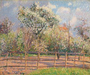 Blühende Birnbäume in Eragny, 1894